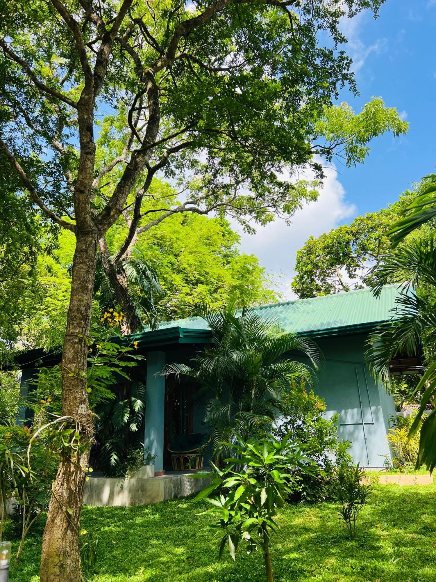 Maritime Nest Cabanas Tangalle Exteriör bild